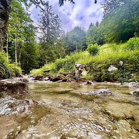 Garni Koenigslinde - Wandern, Radeln, Skifahren & Geniessen Hotel Bayrischzell