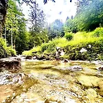 Garni Koenigslinde - Wandern, Radeln, Skifahren & Geniessen