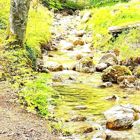 Garni Koenigslinde - Wandern, Radeln, Skifahren & Geniessen Hotel Bayrischzell